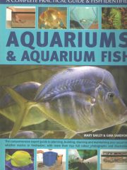 Aquariums & Aquarium Fish (Akvariji & akvarijske ribe)