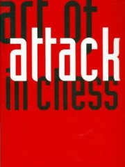 Art of attack in chess