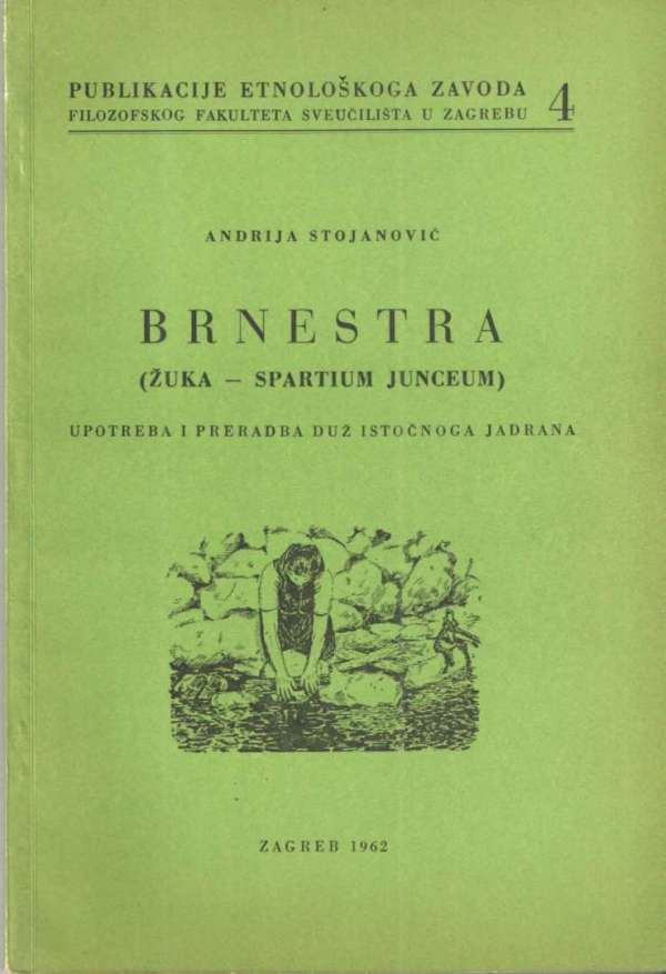 Brnestra (žuka - spartium junceum)