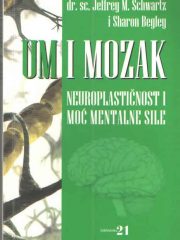 Um i mozak - neuroplastičnost i moć mentalne sile