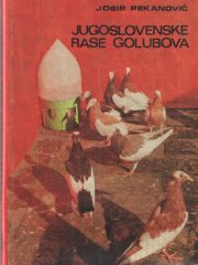 Jugoslovenske rase golubova