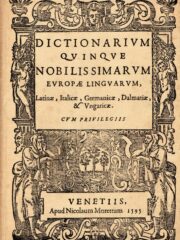 Dictionarium quinque nobilissimarum Europae linguarum: Latinae, Italicae, Germanicae, Dalmatiae & Ungaricae