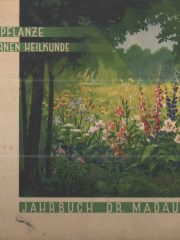 Jahrbuch Dr. Madaus 1936: Die Arzneipflanze in der modernen Heilkunde