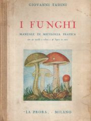 I funghi: manuale di micologia pratica
