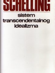 Sistem transcendentalnog idealizma