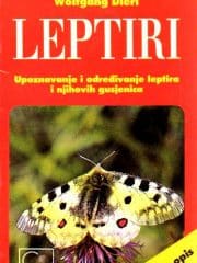Šetnje prirodom: Leptiri