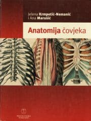 Anatomija čovjeka