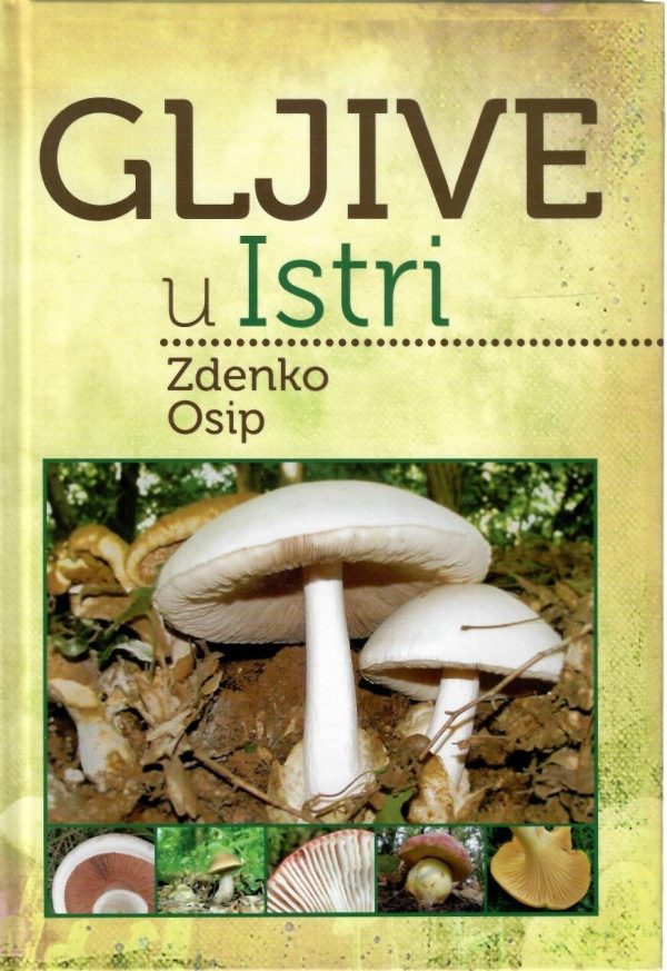 Gljive u Istri
