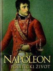 Napoleon: politički život