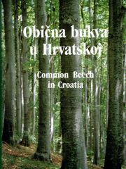 Obična bukva u Hrvatskoj / Common Beech in Croatia